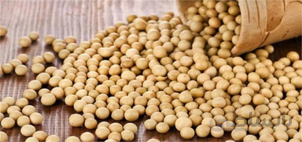 آجيل سويا(بسته 150 گرمی) ا آجيل سويا(بسته 150 گرمی)