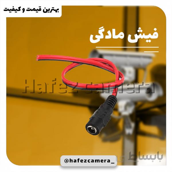 فیش مادگی
