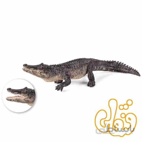 تمساح Alligator 387168