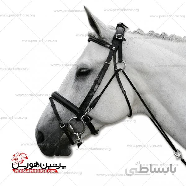 شامبون