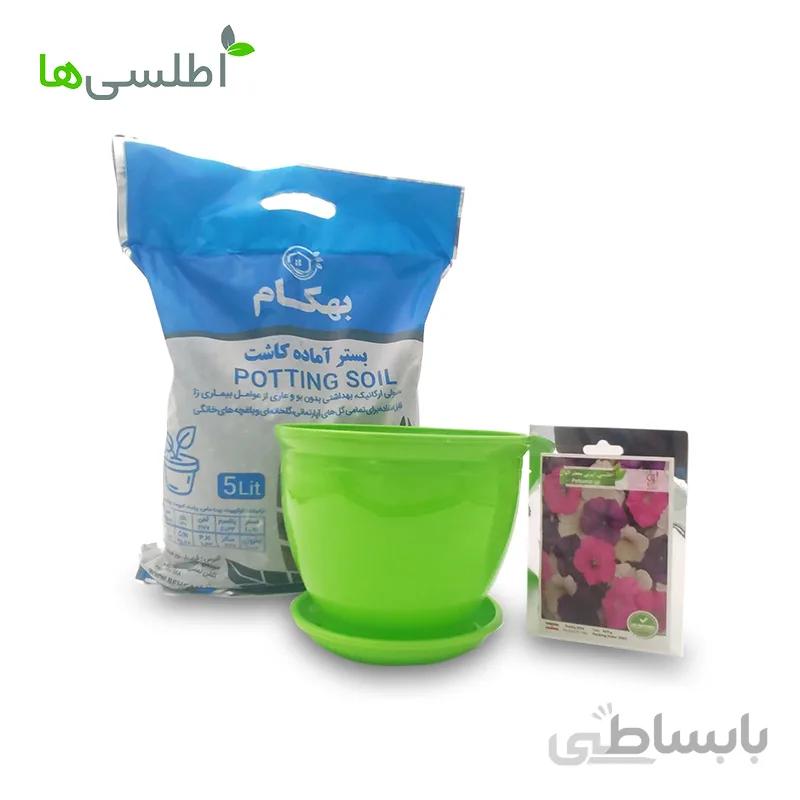 پکیج اطلسی ایرانی معطر