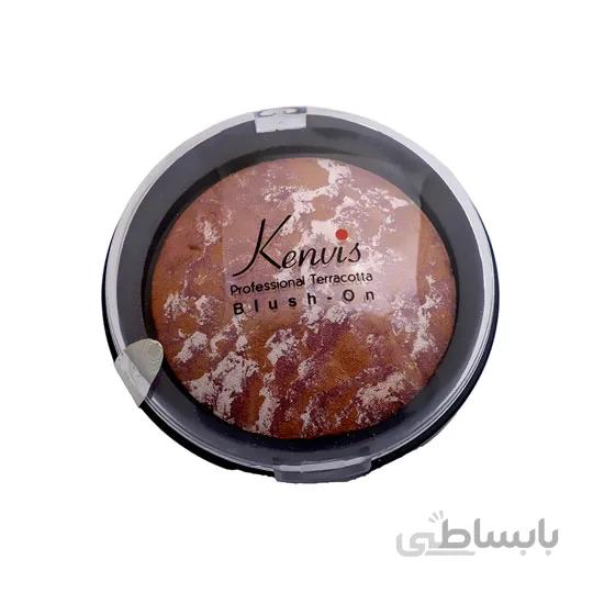 رژگونه تراکوتا کنویس کد 509