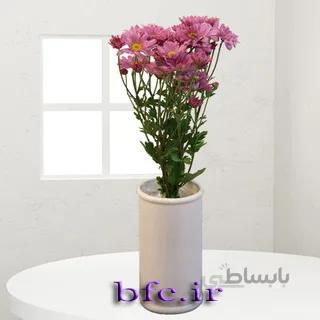 یک شاخه کرزنتیا