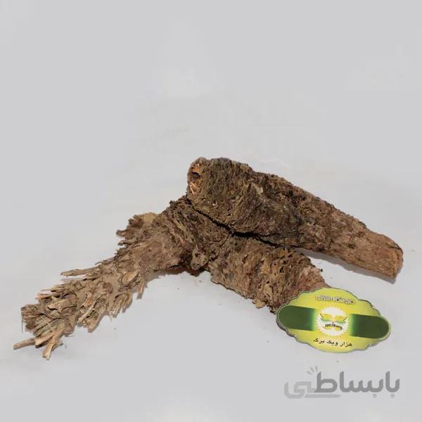 ریشه کندوش