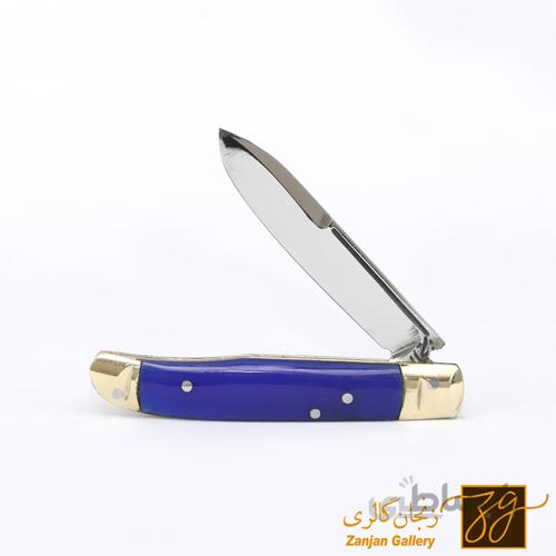 چاقوی میوه خوری دسته صدفی کوچک