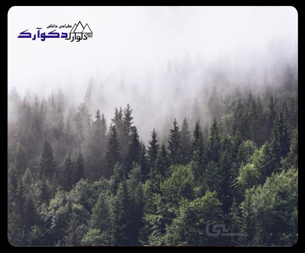 پوستر طبیعت 010