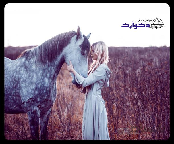 پوسترحیوانات032