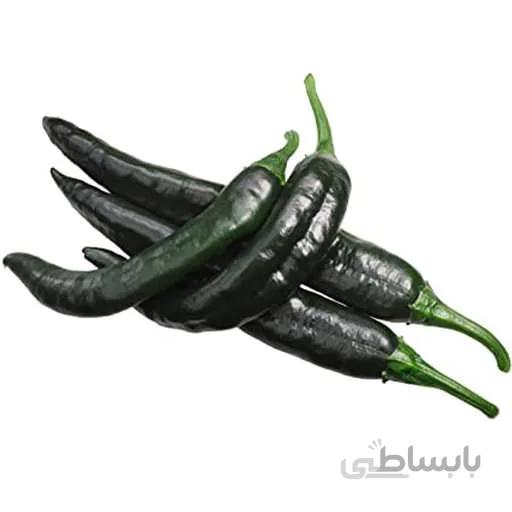 بذر فلفل پسیلا باجیو