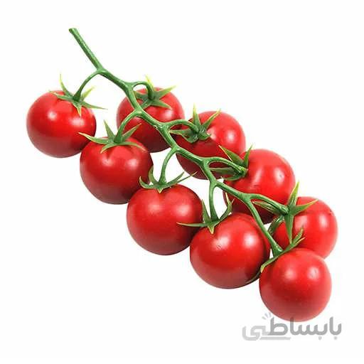 بذر گوجه گیلاسی بزرگ