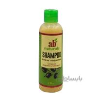 شامپو پروتئین رسان ab naturals