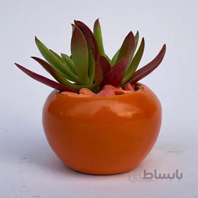گلدان کوچک | کد C350