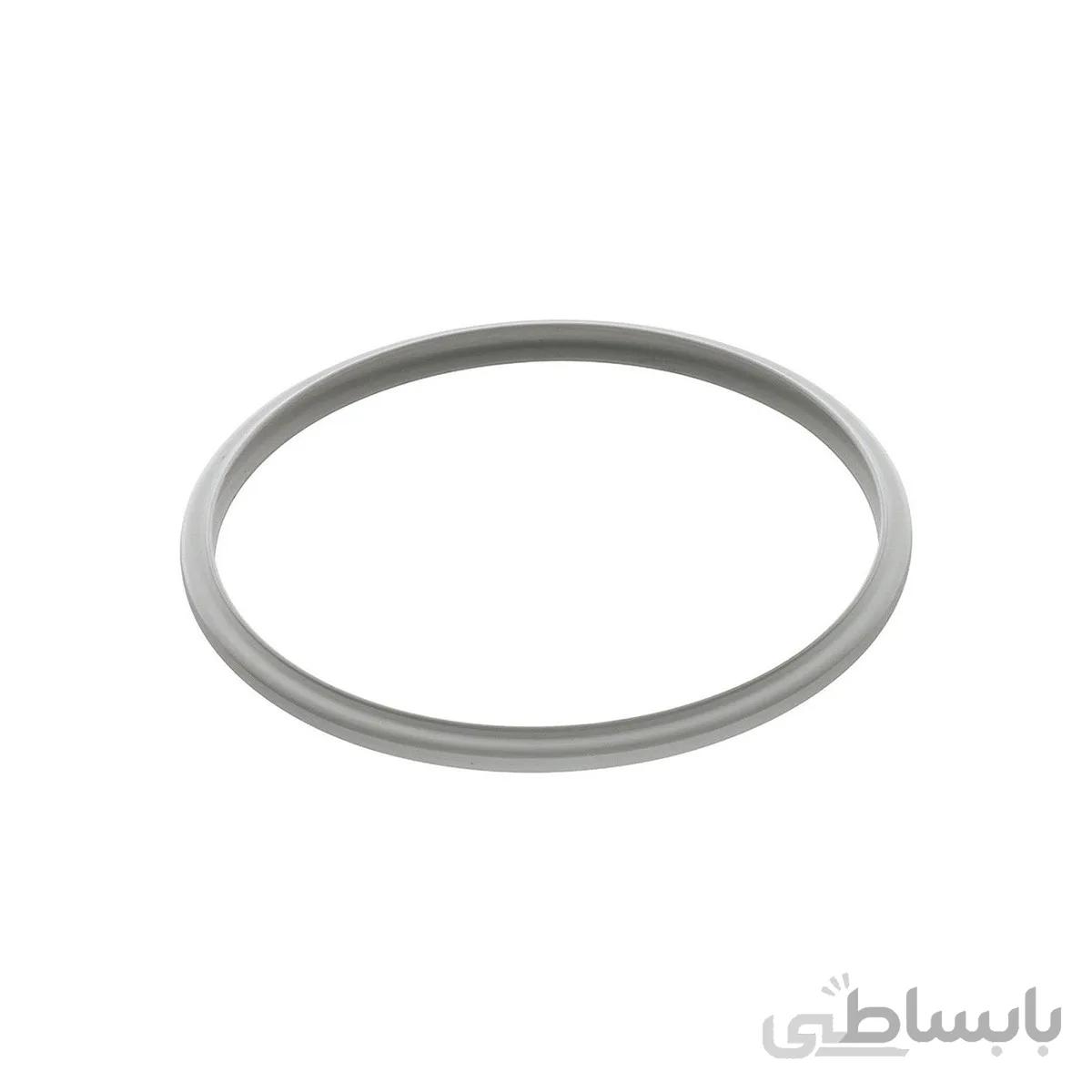 واشر زود پز همیلتون