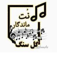 نت گل سنگم