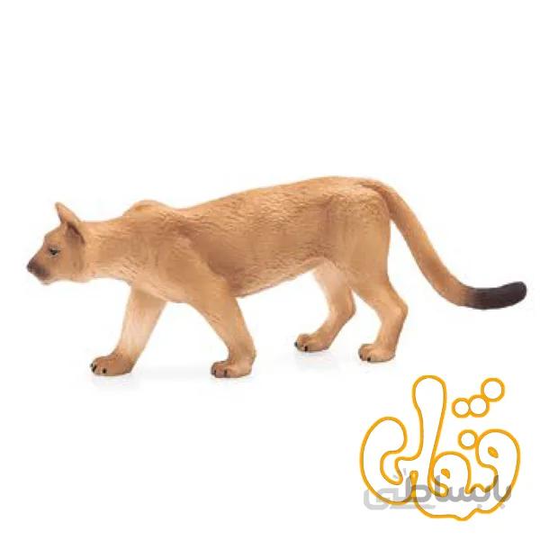 شیر کوهی Mountain Lion 387143
