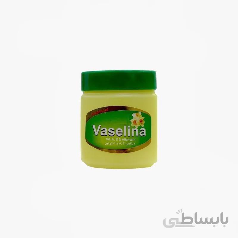 وازلین معطر ویتامینه روشا حجم ۸۵ گرمی