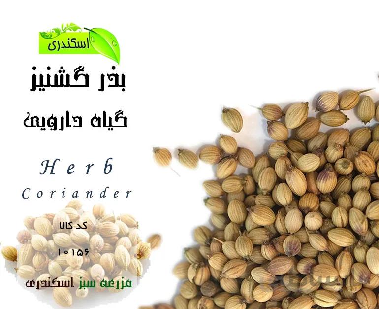 گیاه و بذر گشنیز