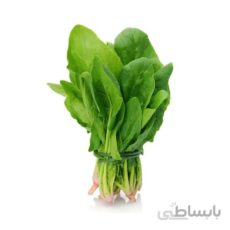 بذر اسفناج