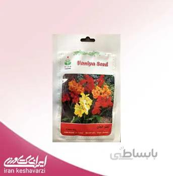 فروش بذر گل اختر