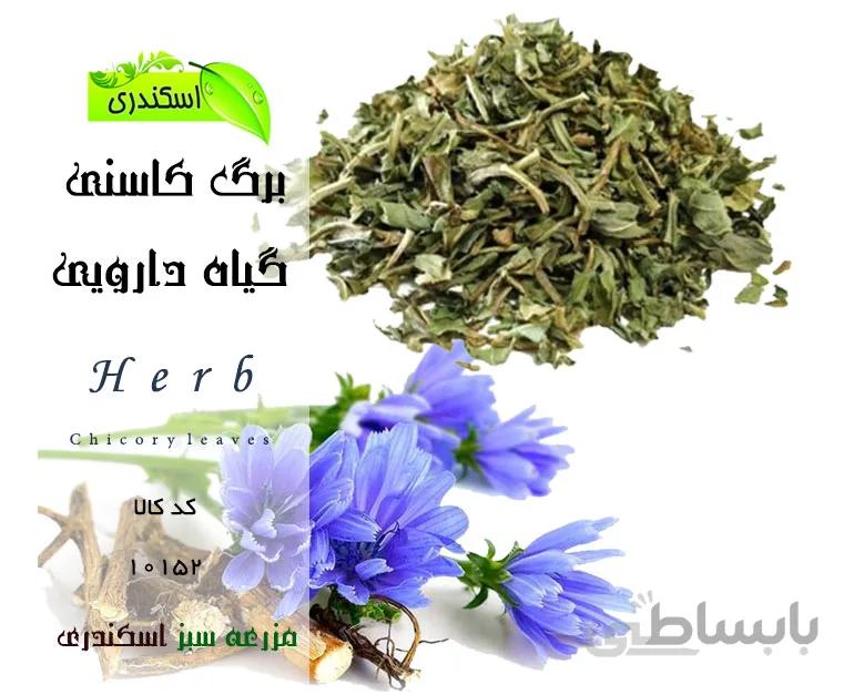 برگ کاسنی