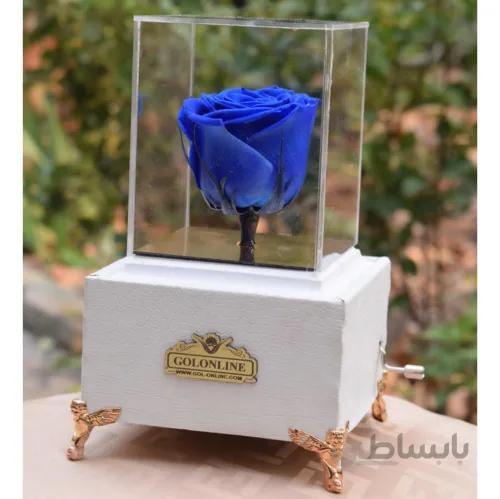 باکس جاودان موزیکال