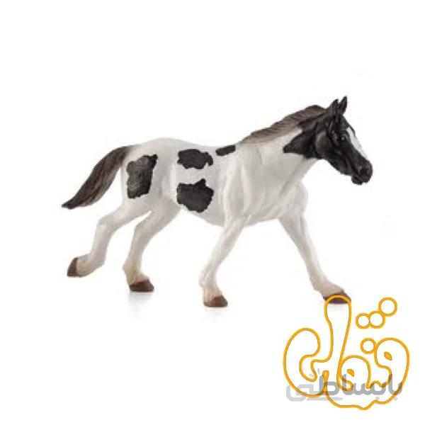 اسب تینکر جوان Tinker Yearling 387219