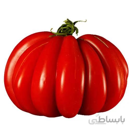 بذر گوجه فرنگی گزاهنته