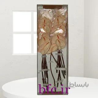 آنتریم کد 1079820