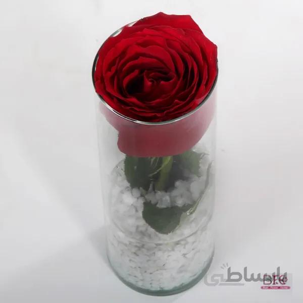گلدان گل رز
