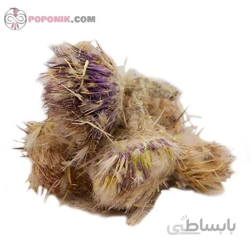خار مریم