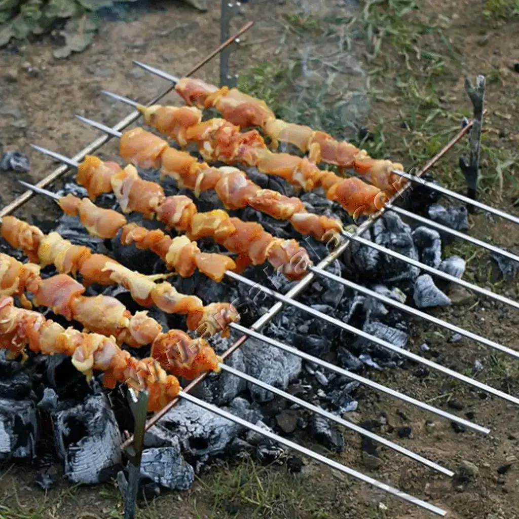 منقل مسافرتی Heyran