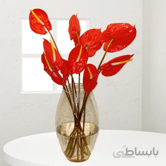 گلدان گل آنتریم کد 1080092