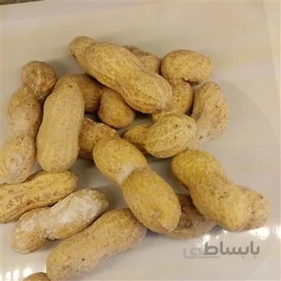 بادام زمینی غلافدار شور 500 گرم
