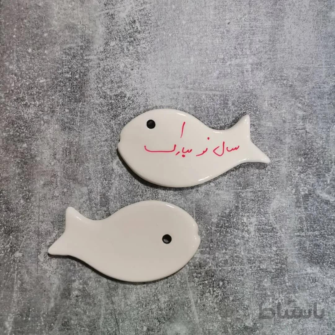 تگ سرامیکی ماهی خام (تکی)