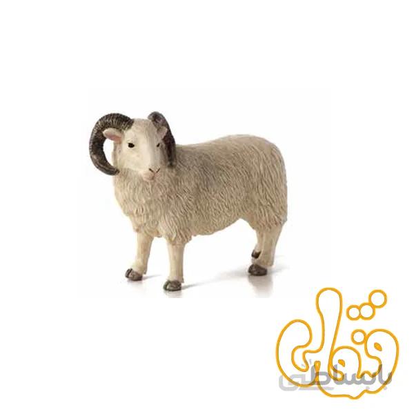 گوسفند قوچ نر Sheep Ram 387097