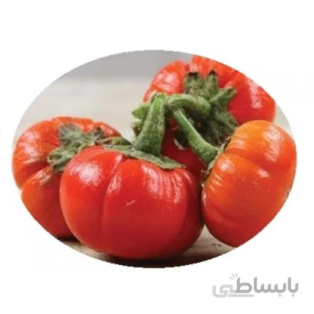 بذر بادمجان قرمز گرد بسته ۱۰ عددی