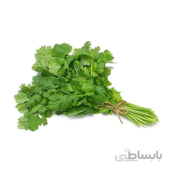 بذر گشنیز درجه 1