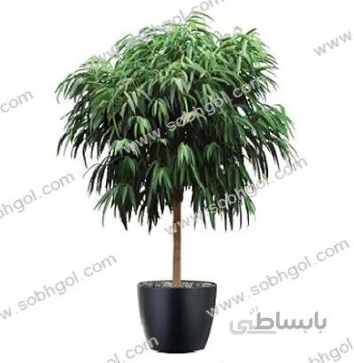 بنجامین آمستل B04 ( ارسال رایگان )
