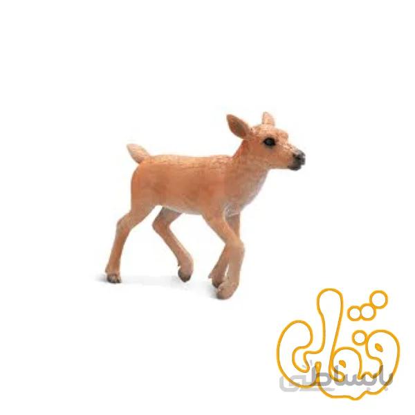 گوساله گوزن شمالی Reindeer Calf 387188