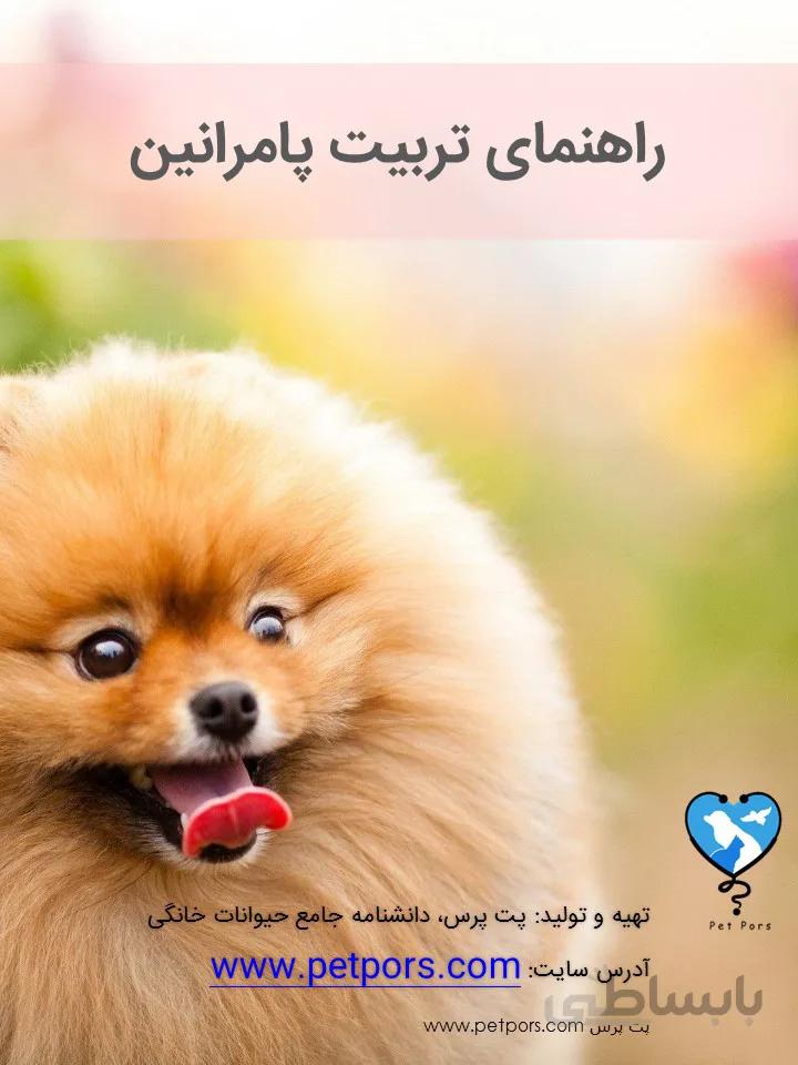 کتاب الکترونیکی راهنمای کامل تربیت پامرانین