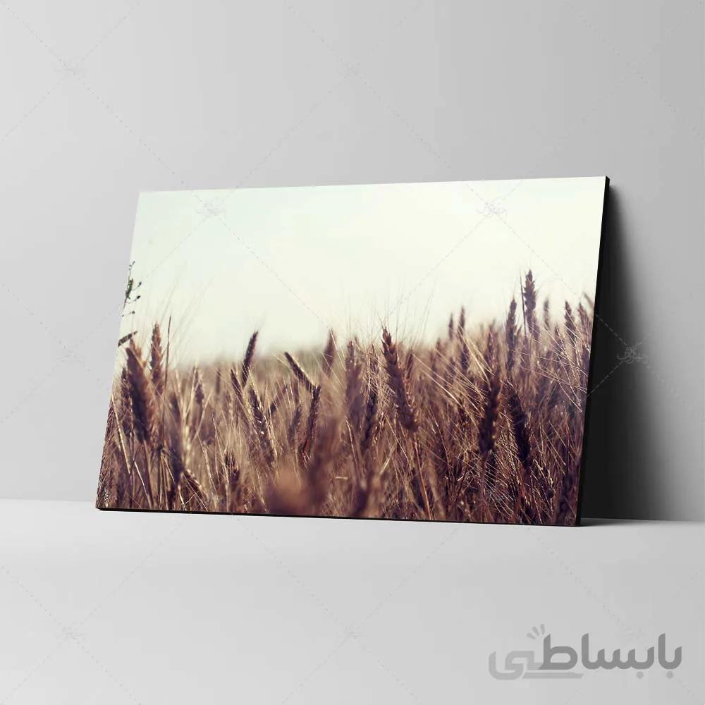 تابلو شاسی طرح گندمزار کد 4G-AVZ-6019
