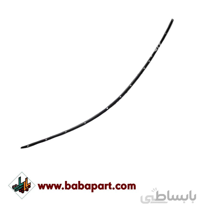 زه سقف چپ کوپا ریگان