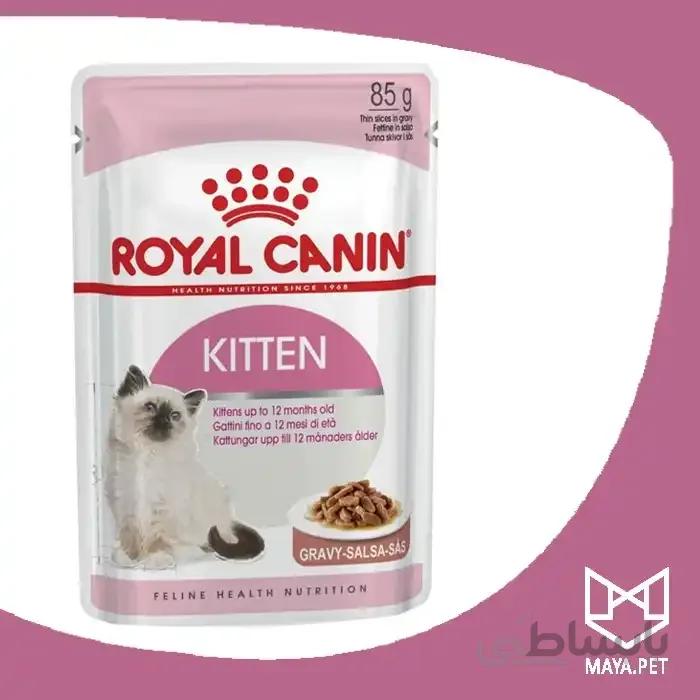 پوچ رویال کنین Kitten