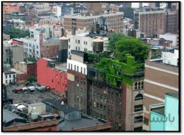 بام های سبز ( Green roof )