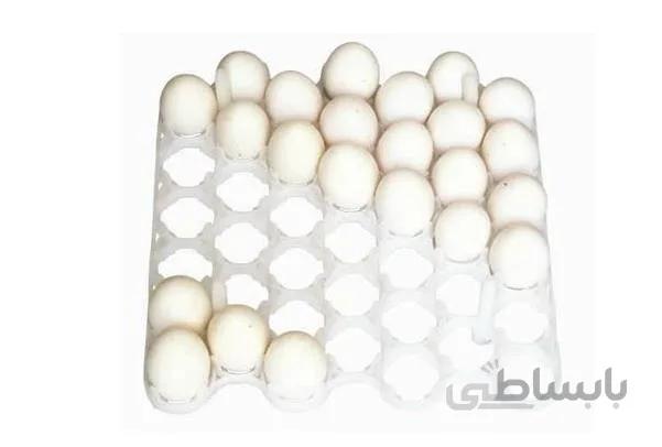 شانه تخم مرغ 42 عددی دستگاه جوجه کشی