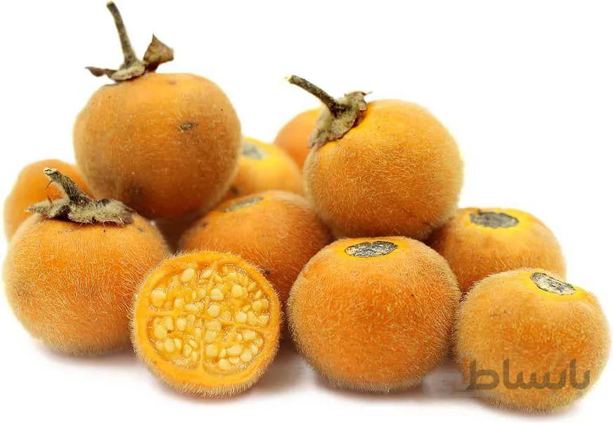 بذر بادمجان ترش