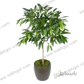بنجامین آمستل B01 ( ارسال رایگان )