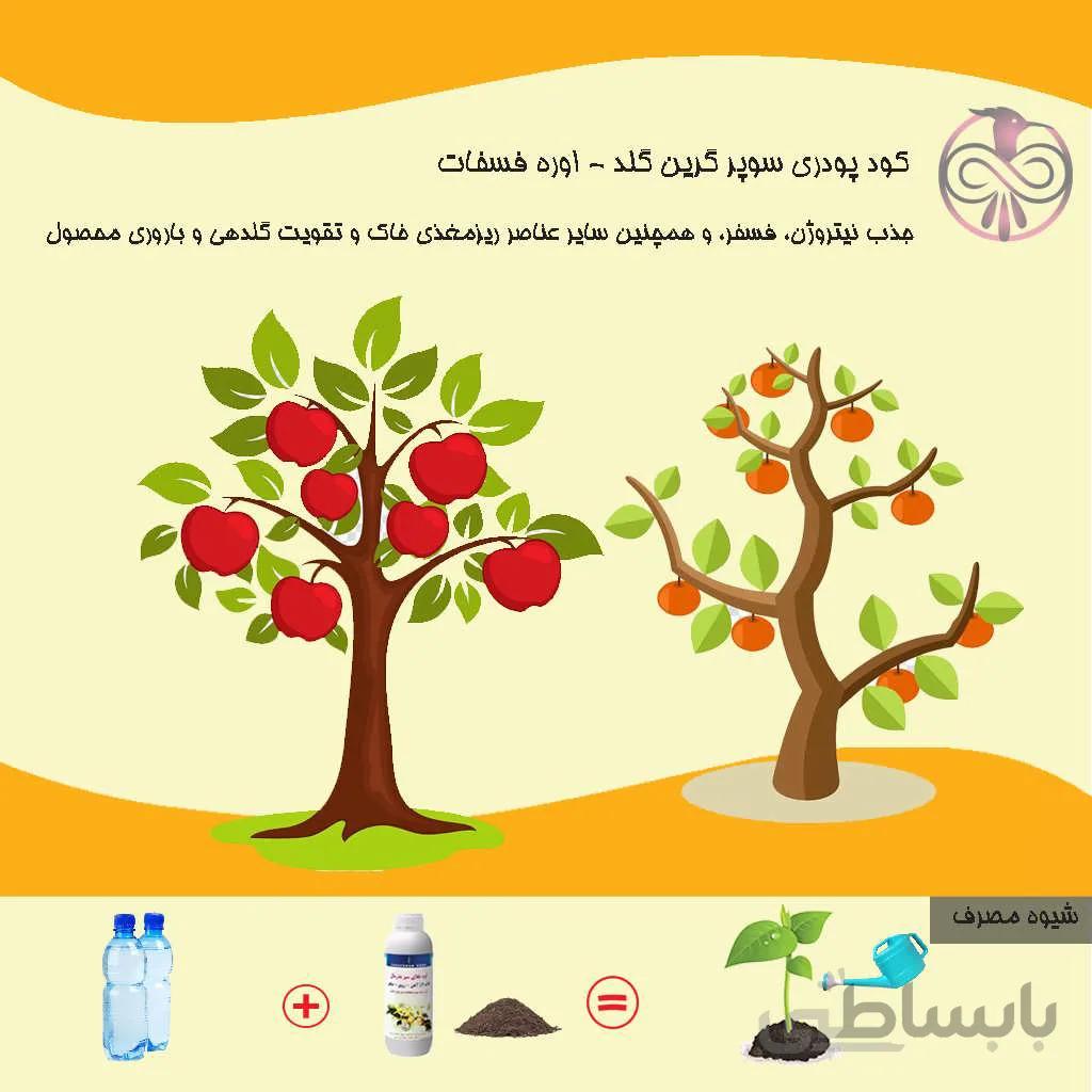 کود پودری سوپر گرین گلد - اوره فسفات