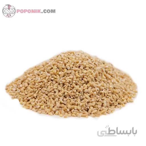جو بلغور