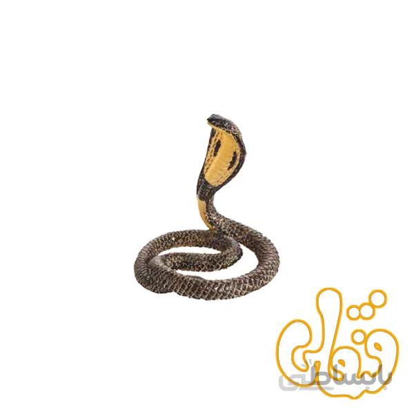 شاه مار کبری King Cobra 387126