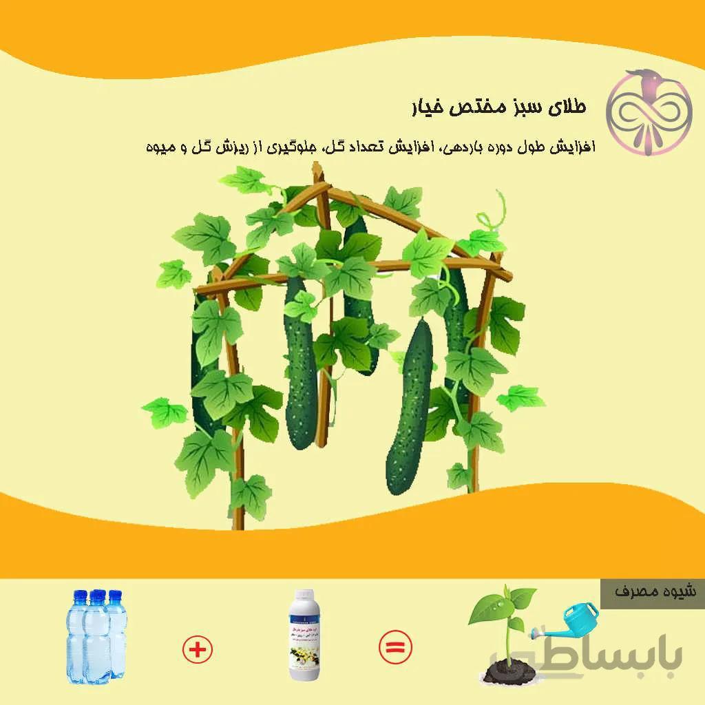 کود مایع طلای سبز مختص خیار